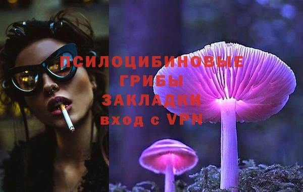 героин Алексин