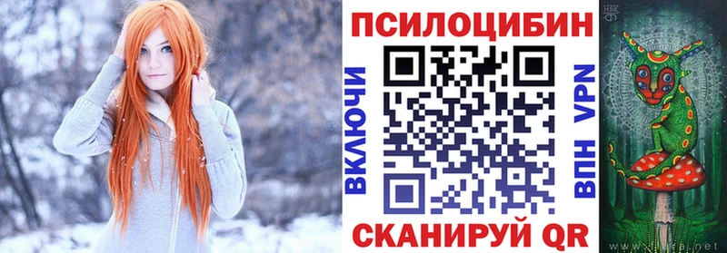 ОМГ ОМГ ссылки купить закладку Боготол Псилоцибиновые грибы MAGIC MUSHROOMS